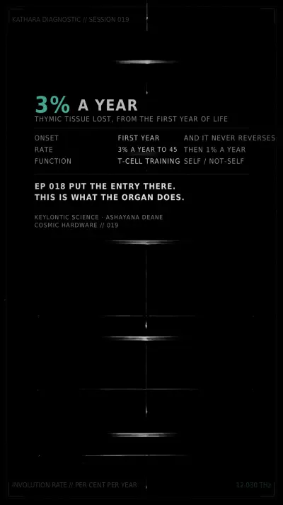 Save card, Session 019: The Organ That Closes From Birth