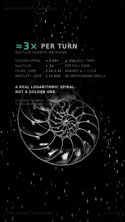 Save card, Session 022: The Shell That Isn't Golden